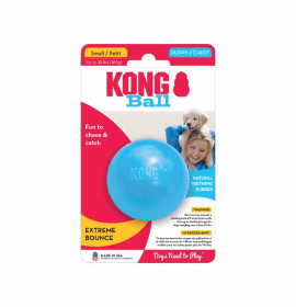 Kong gioco cane puppy ball...
