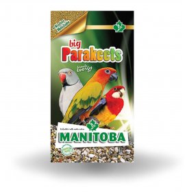 Manitoba big parakeets...